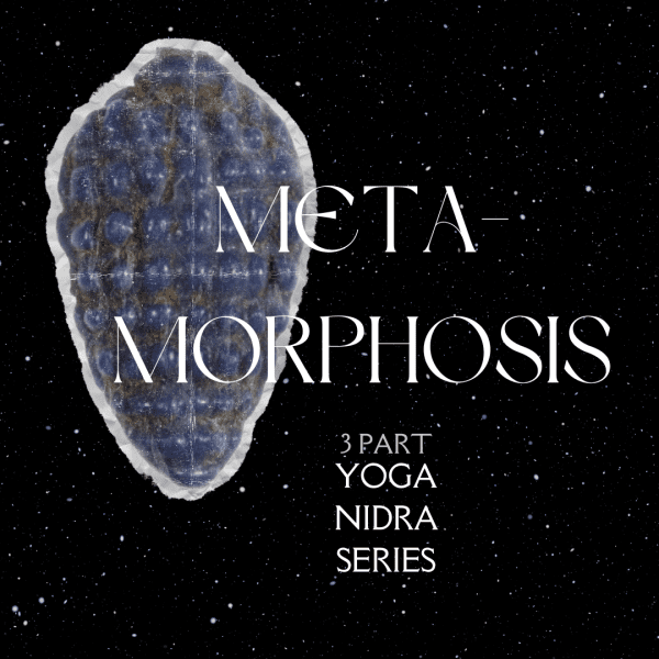 yoga-nidra