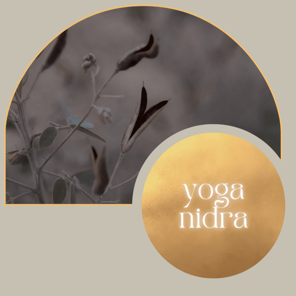 online-yoga-nidra