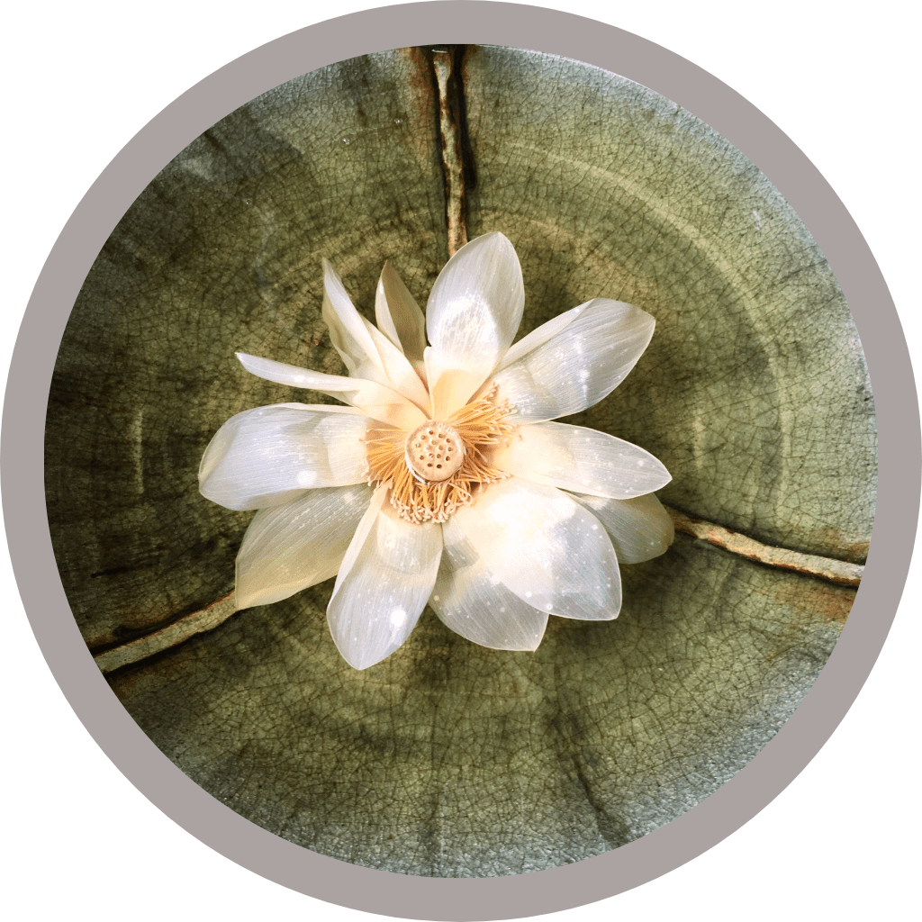 online-yoga