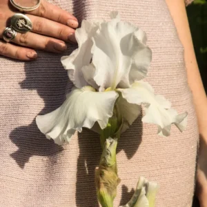 menstrual-cycle-tracking