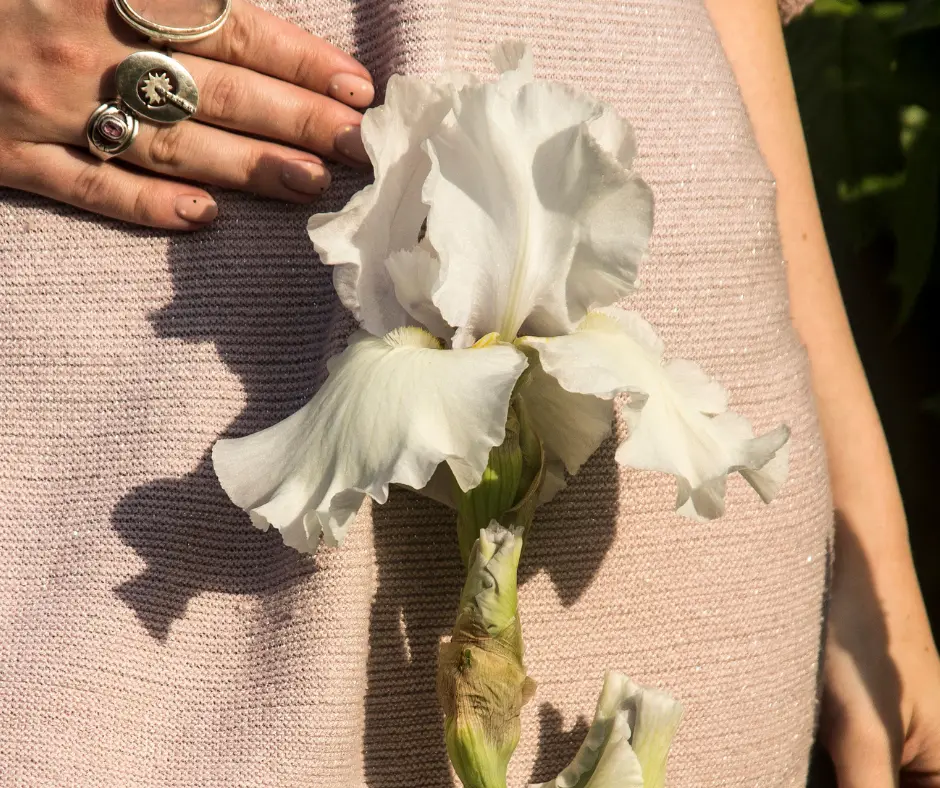 menstrual-cycle-tracking