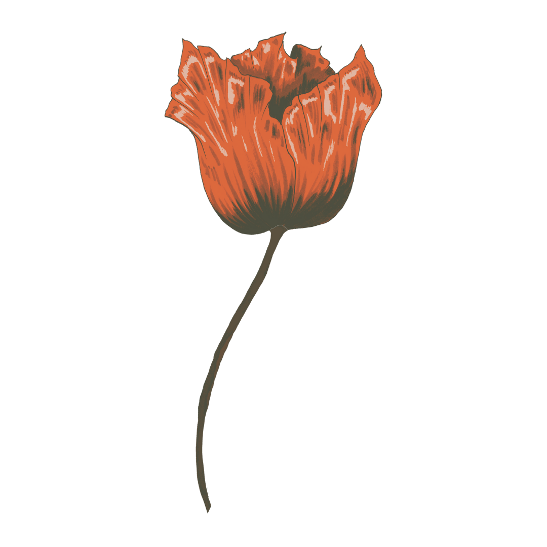 humanflowerimage11 humanflowerimage11