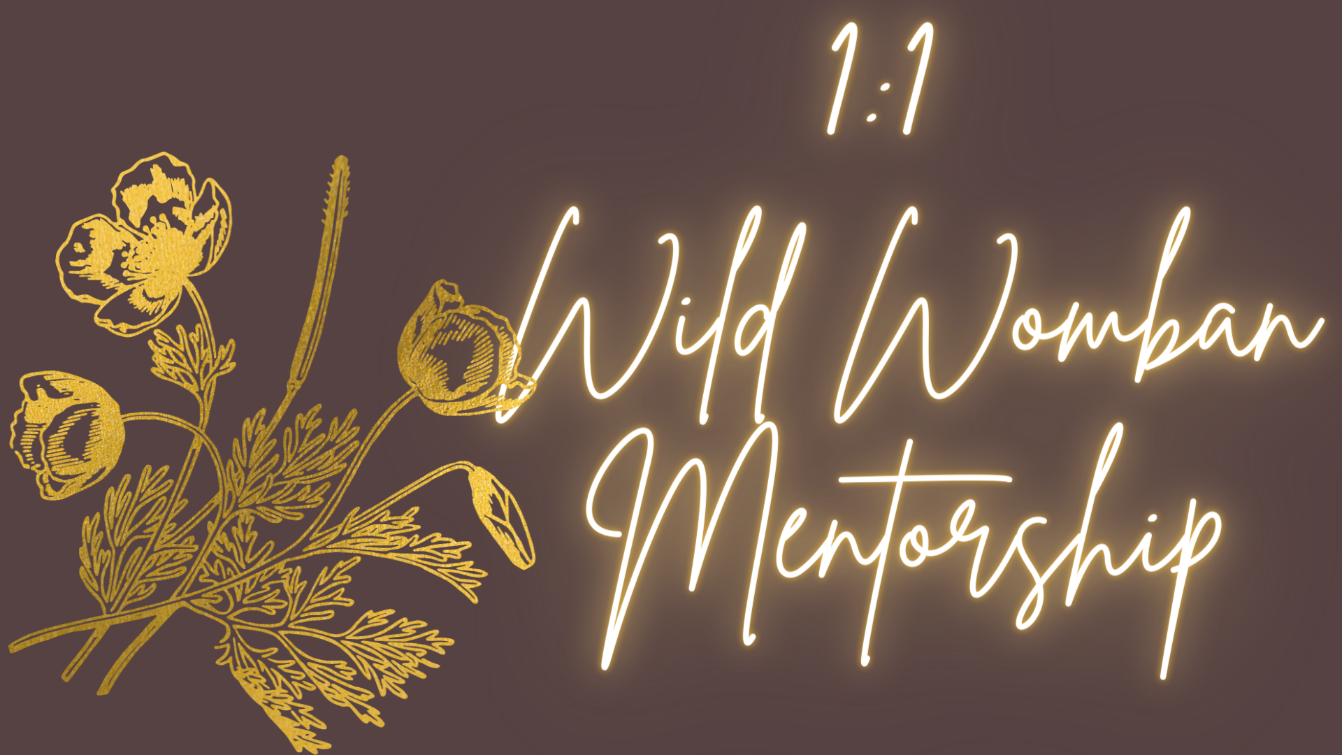 wildwombanheader wildwombanheader